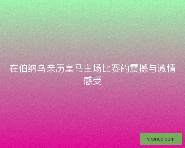 在伯纳乌亲历皇马主场比赛的震撼与激情感受