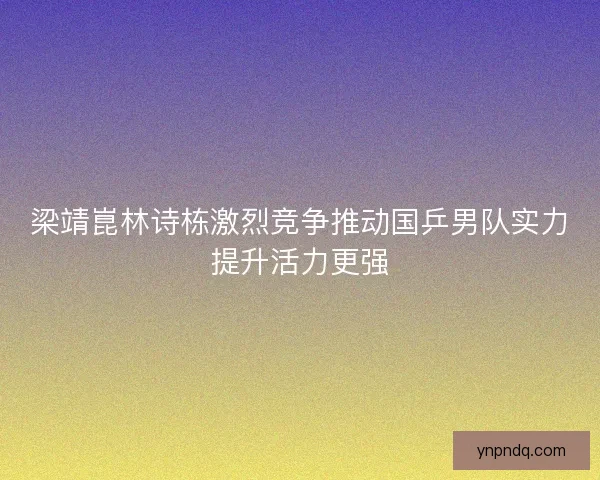 梁靖崑林诗栋激烈竞争推动国乒男队实力提升活力更强