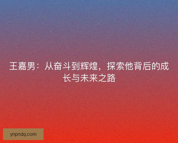 王嘉男：从奋斗到辉煌，探索他背后的成长与未来之路